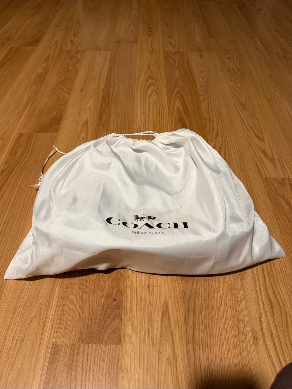 Coach Green Leather Crossbody Bag - Picture 5 of 11